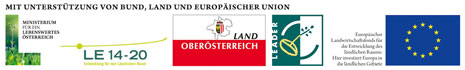 Mit Unterstützung von Bund, Land und Europäischer Union